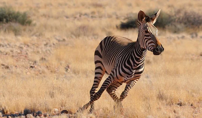 24 Stunning Photos from My Trip Around Southern Africa